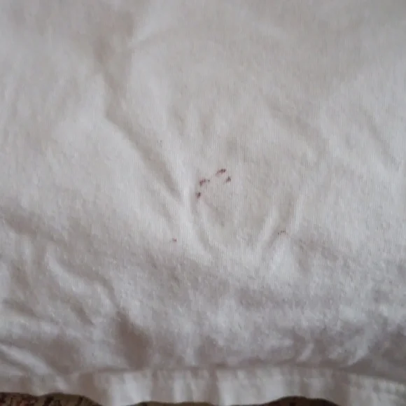 Hollister White Tee with Dark Logo and Seagull - Picture 4 of 4